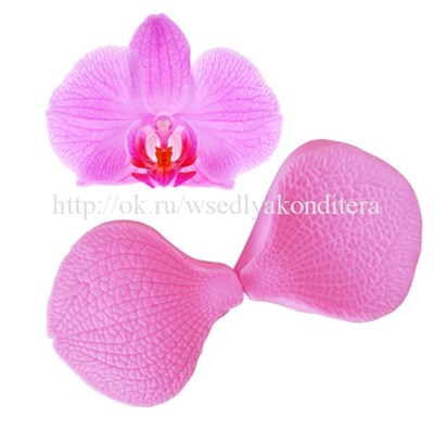 Вайнер "Лист орхидеи-2", 2 шт. Размер: 6,5 * 5.5 см. - фото 6316