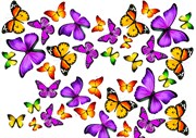 Съедобная картинка Бабочки 2 , лист А4. Вафельная/сахарная картинка.