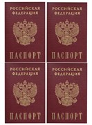 Съедобная картинка Паспорт № 01596, лист А4. Вафельная/сахарная картинка.