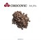 Шоколад CHOCOVIC Тиаго темный 54,5% (от Barry Callebaut), фасовка. Вес: 100 гр 11875